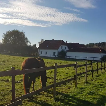 Holiday Boddenblick Feriehus